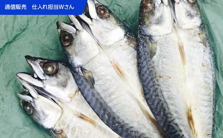 水産仕入れ ウオス