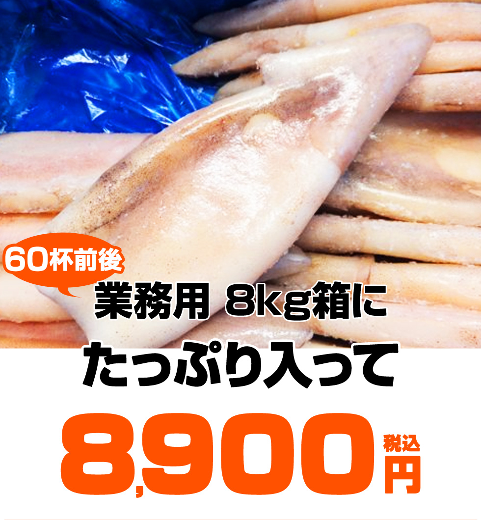 北海道産マメヤリイカ 500g ｐ