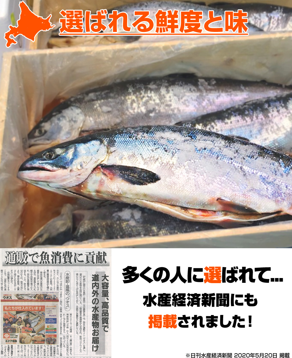 お歳暮　新巻鮭　北海道産　人気ランキング1位獲得　2kg前後　切身真空　送料0円　鮭　年末年始　ギフト　お正月