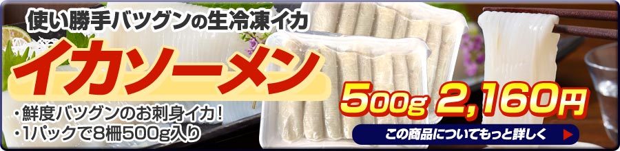イカソ－メン500g