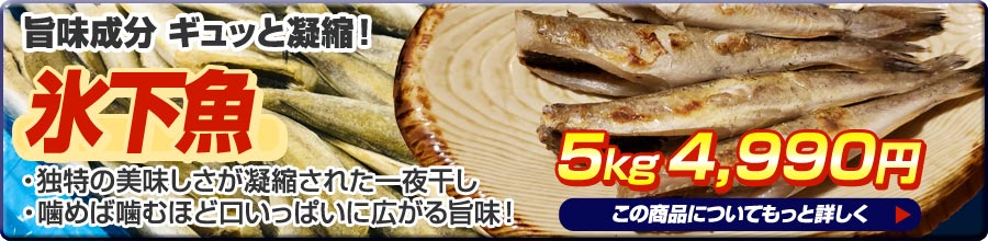 氷下魚5kg