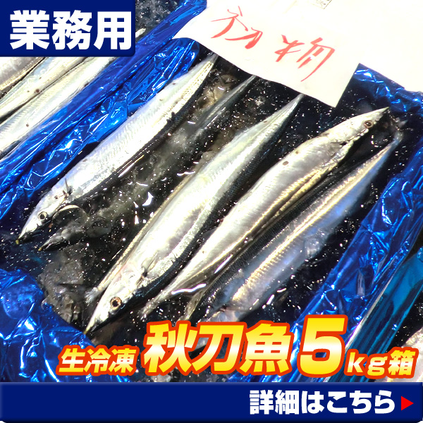 秋刀魚