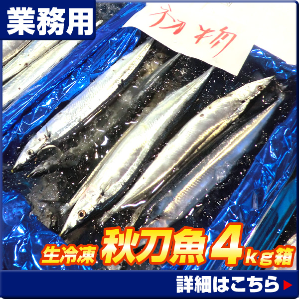 秋刀魚