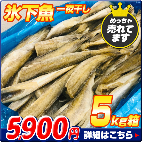 氷下魚