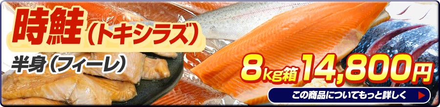 時鮭フィレ8kg箱
