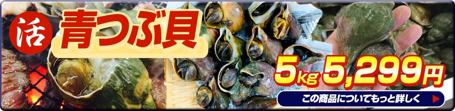 活 青つぶ貝