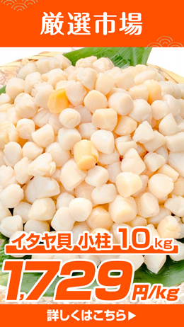 イタヤ貝10kg