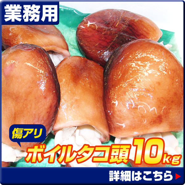 傷ありタコ頭