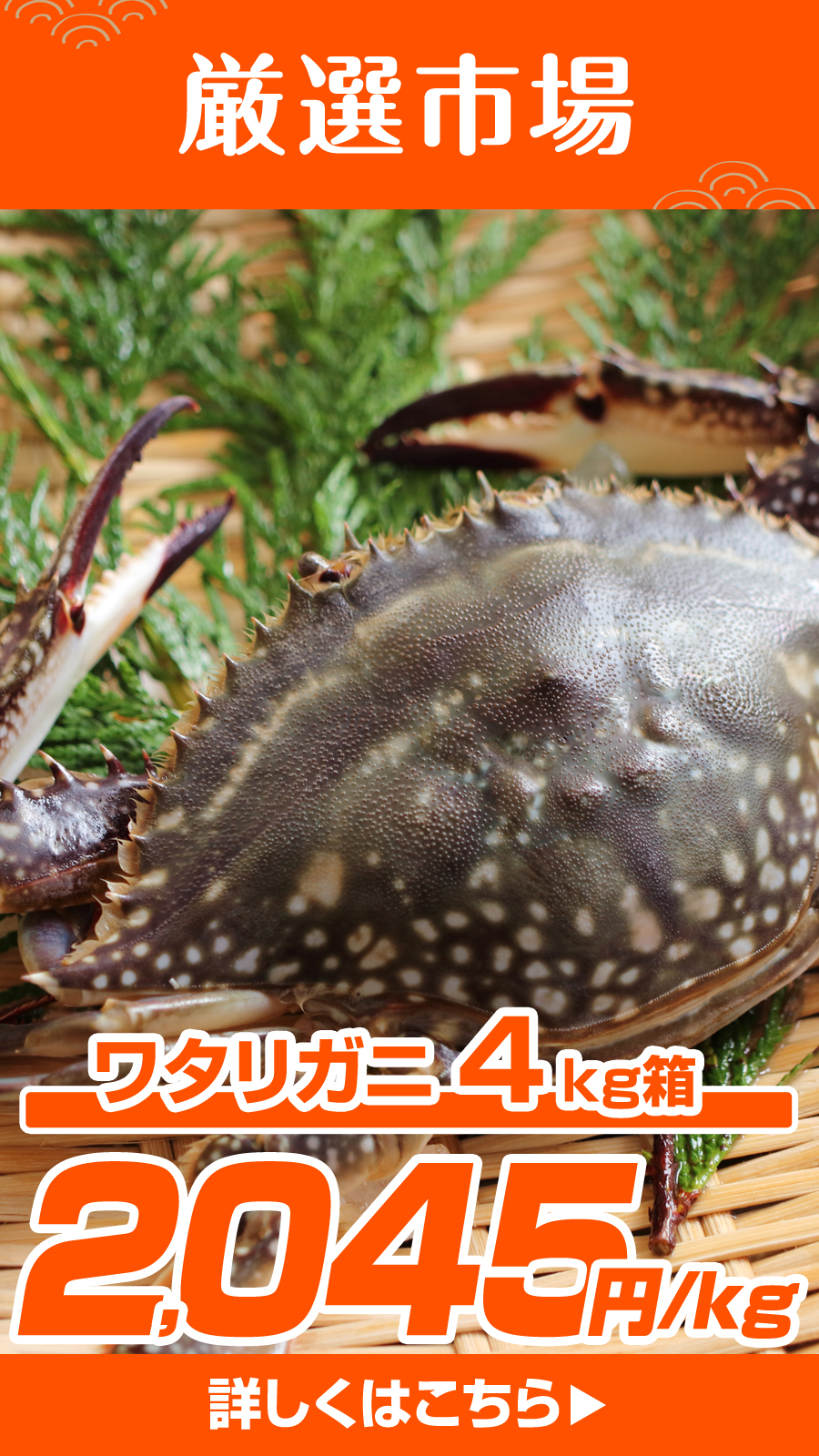 ワタリガニ4kg箱