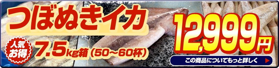 つぼぬきイカ