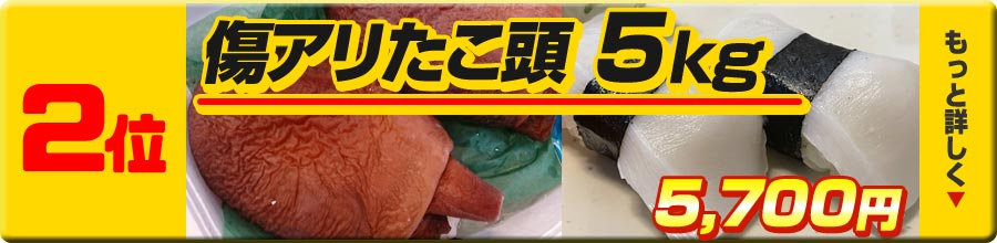 2位 傷ありタコ頭