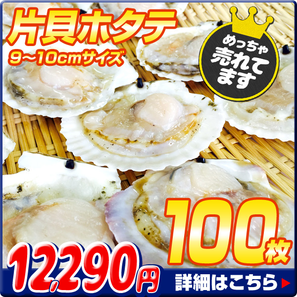 片貝ホタテ