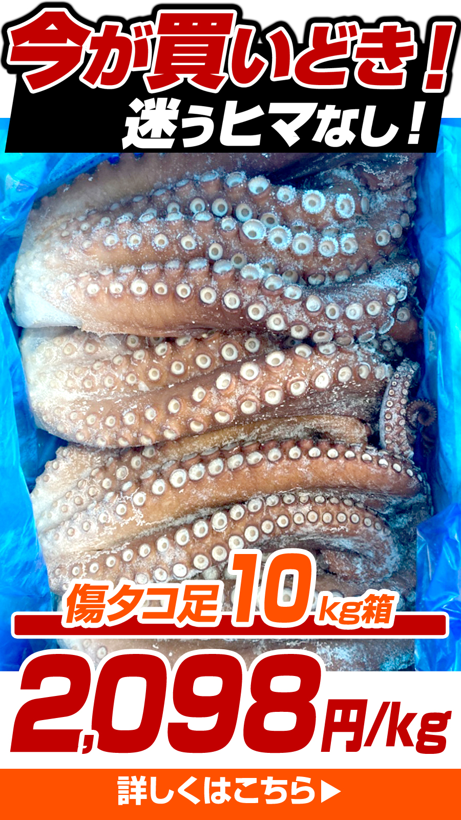 たこ10kg