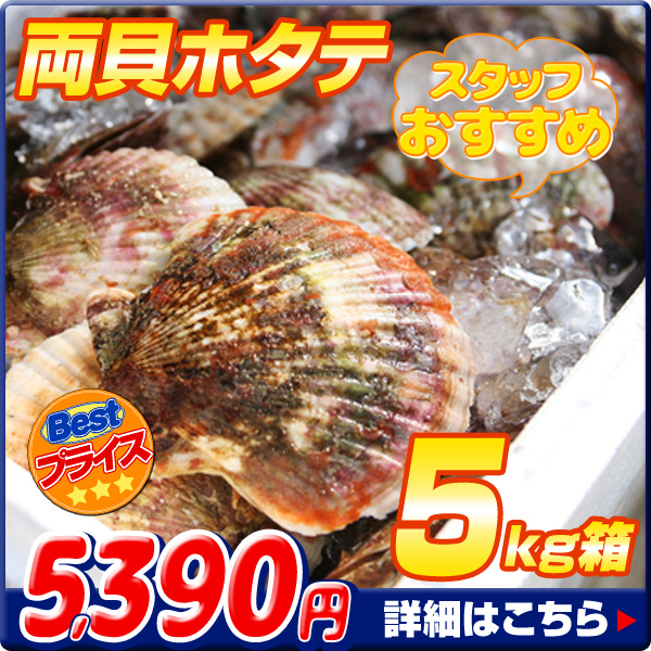 ホタテ