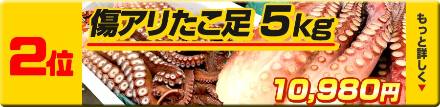 2位 傷ありタコ足