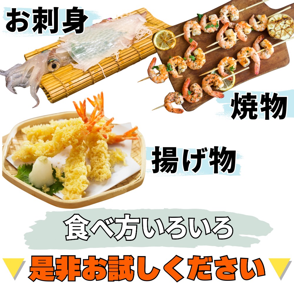 エビイカ仕入れ
