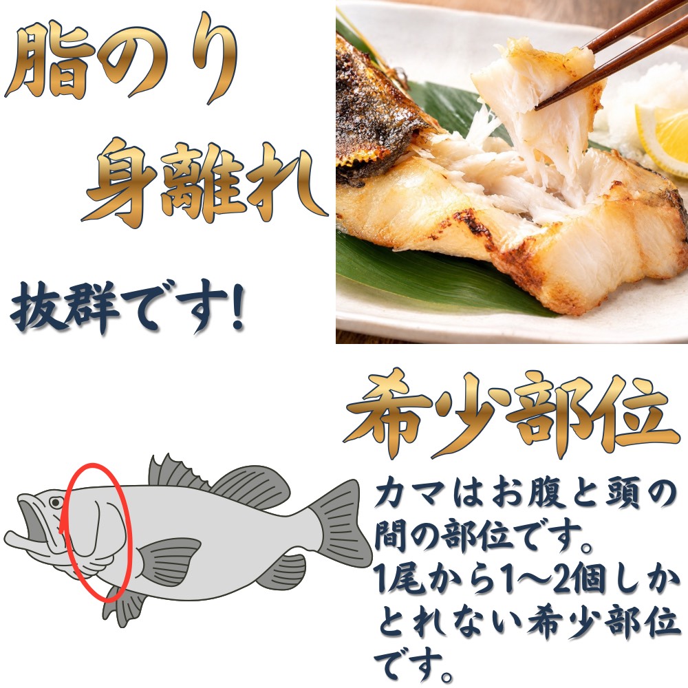 銀鱈カマ仕入れ