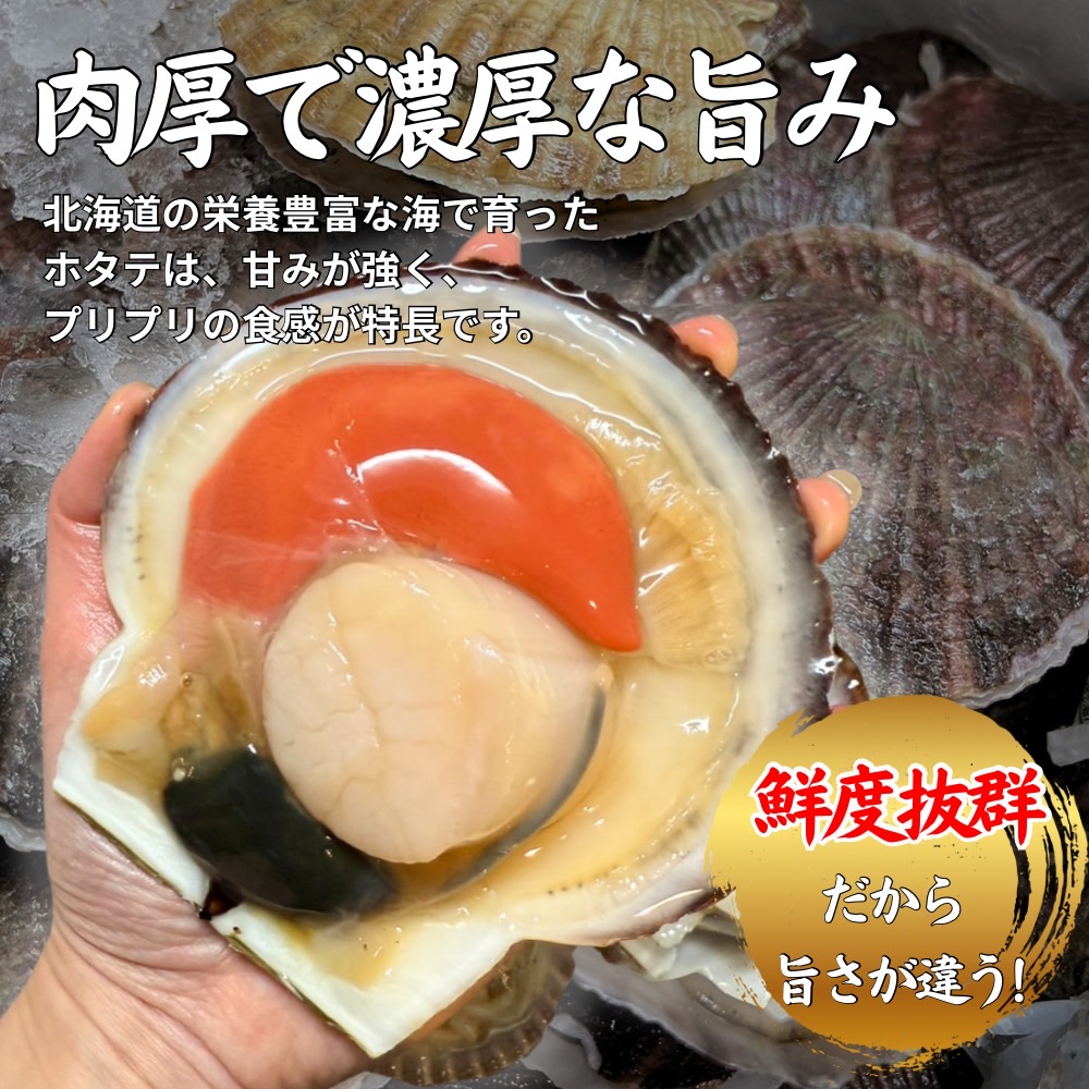 貝付きホタテ