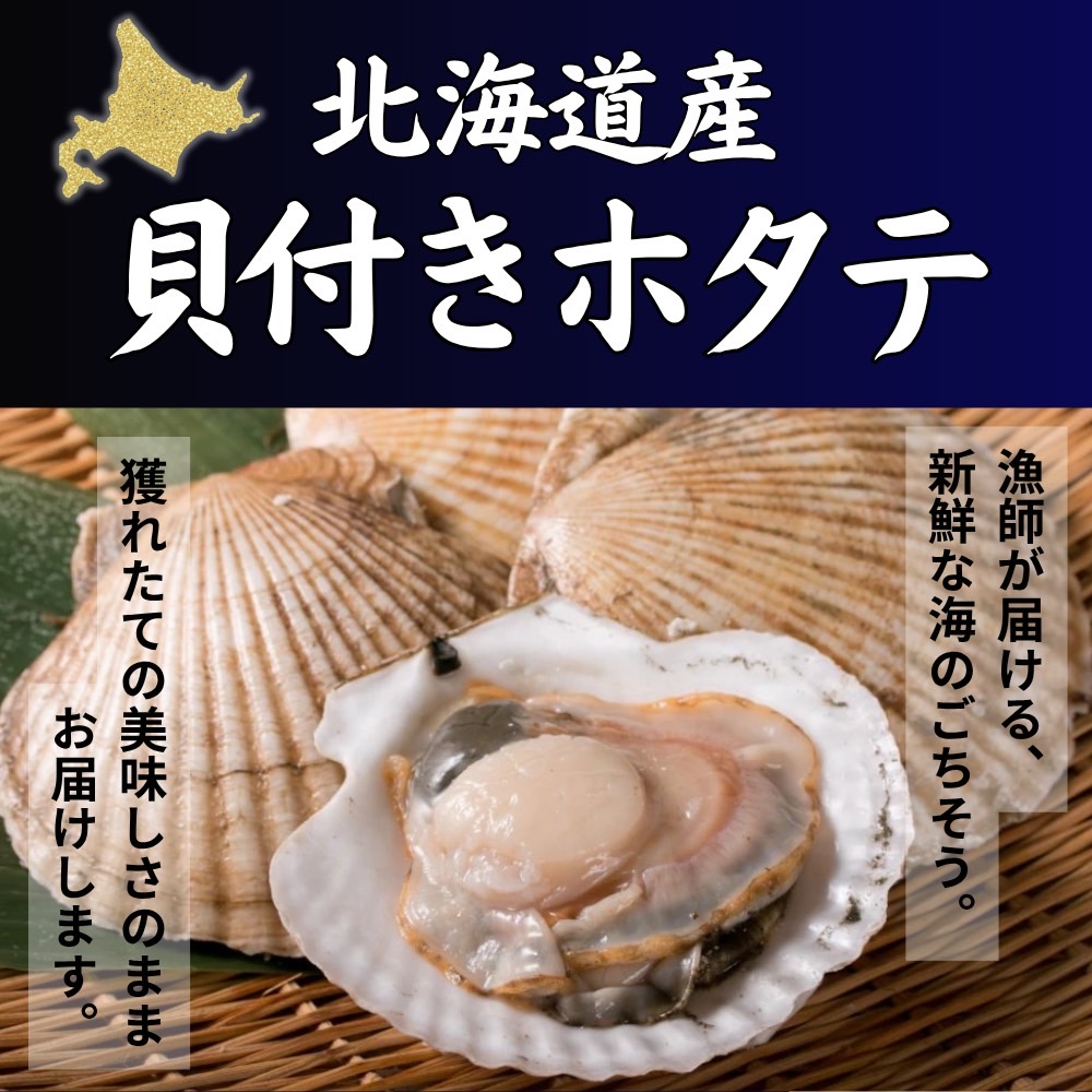 貝付きホタテ