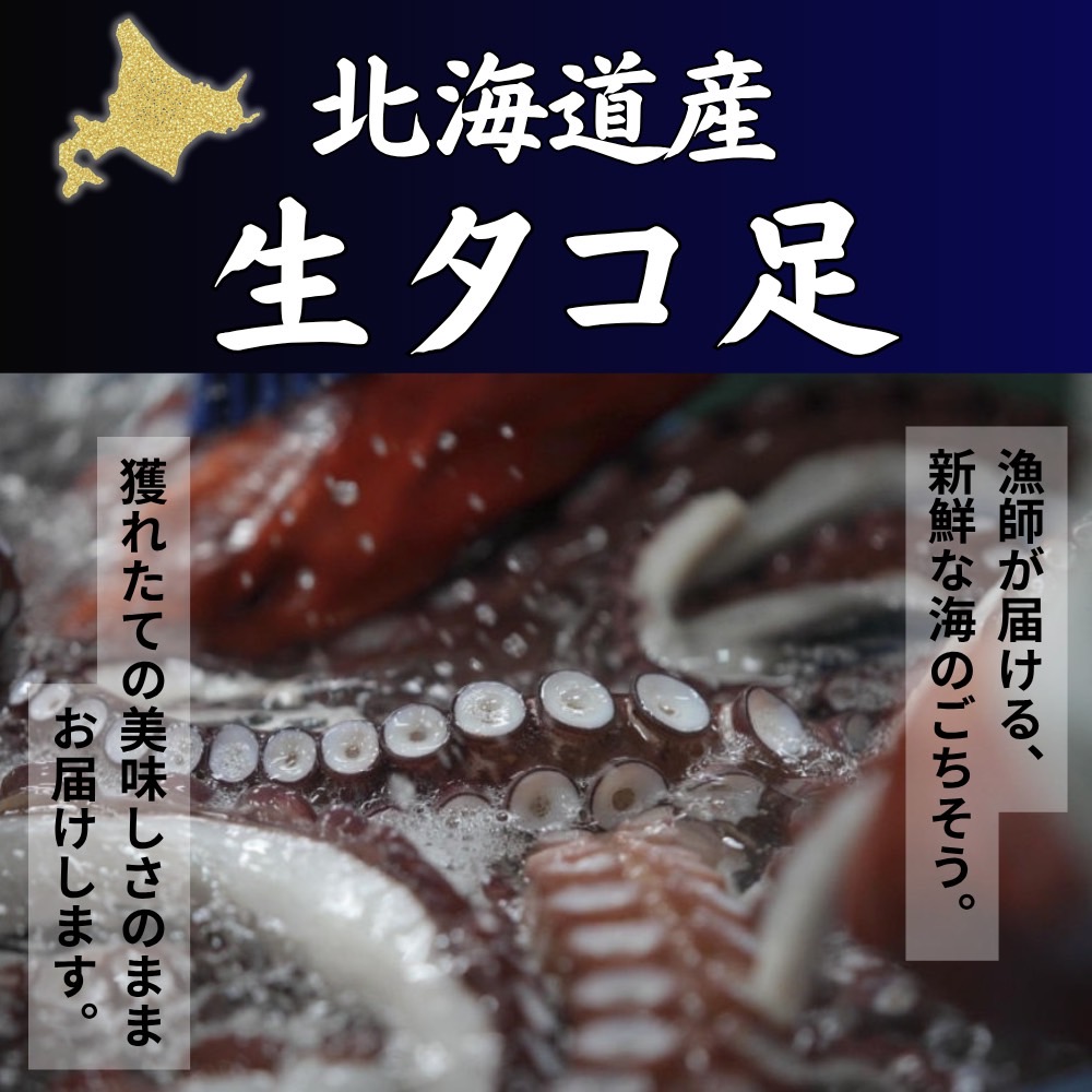 生タコ足