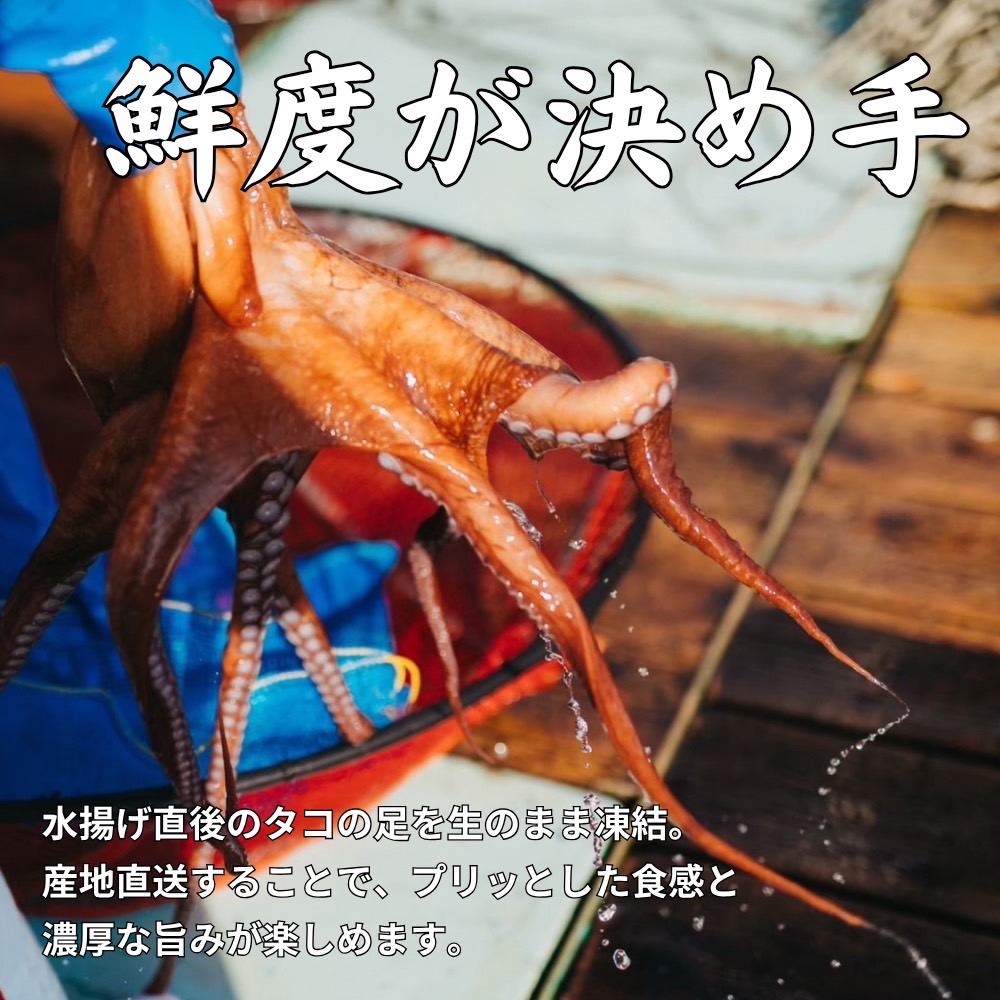 生タコ足