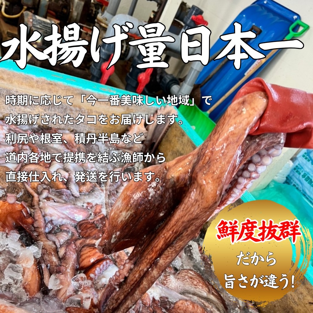 生タコ足