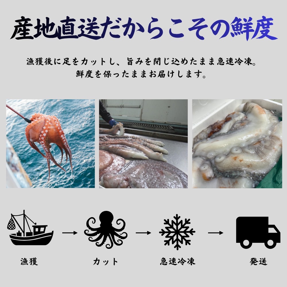 生タコ足