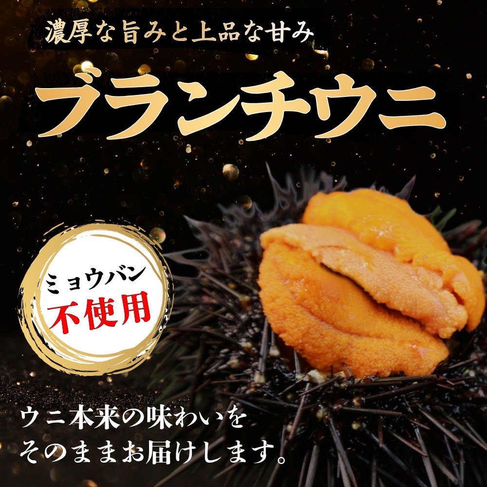 ブランチウニ