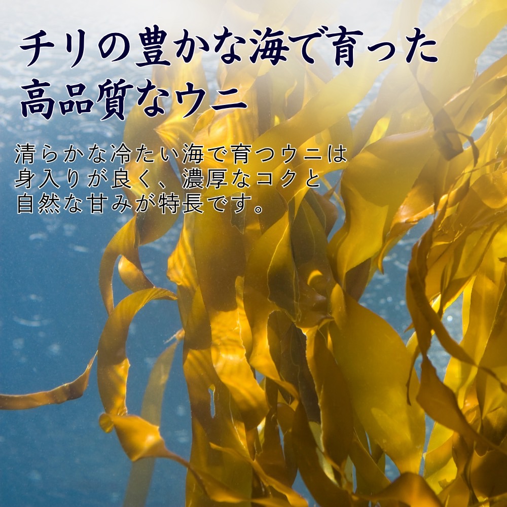 ブランチウニ