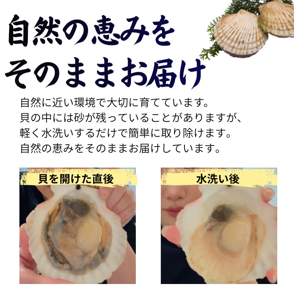 貝付きホタテ