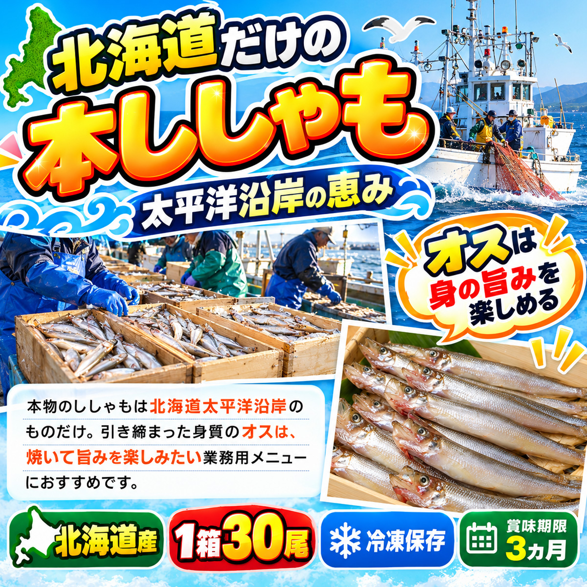 本物ししゃも