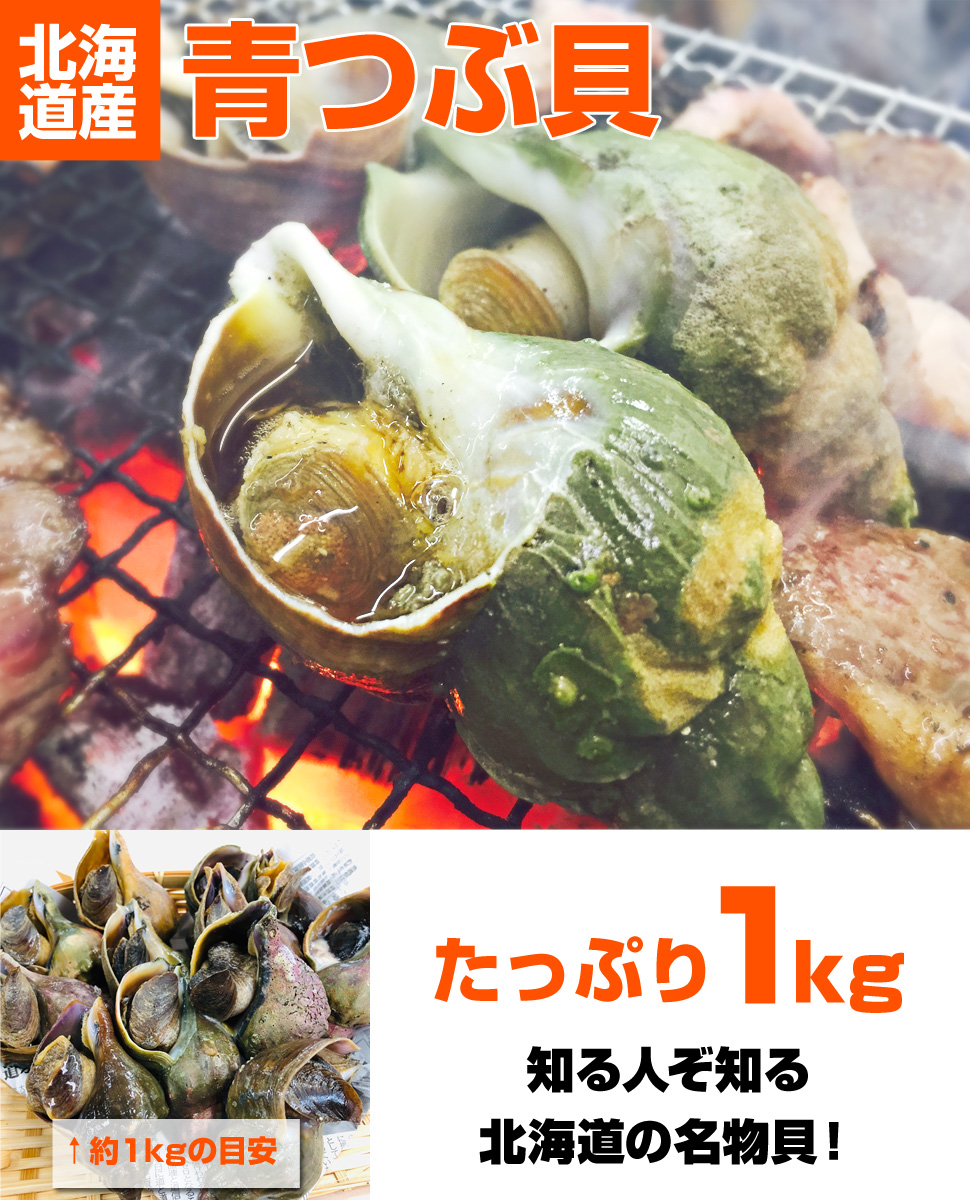 生冷凍 青つぶ 1kg (8～12個前後) 北海道産 つぶ貝 ツブ BBQ お中元 お盆 夏休み 彼岸