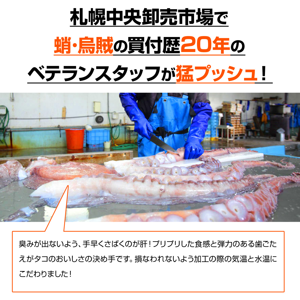 業務用】ブランチタコ足 12kg18～30入 | kg￥3,831