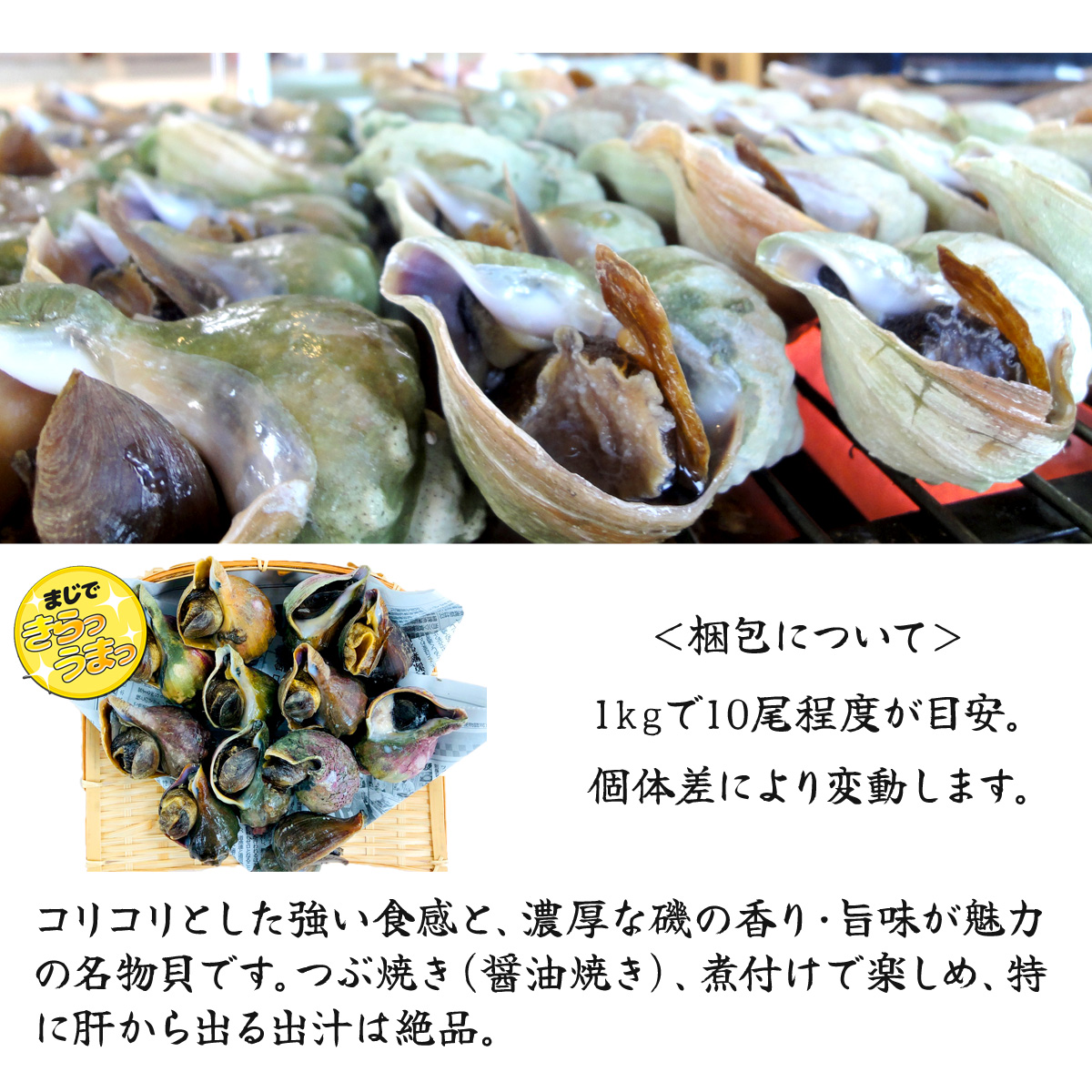 青つぶ貝