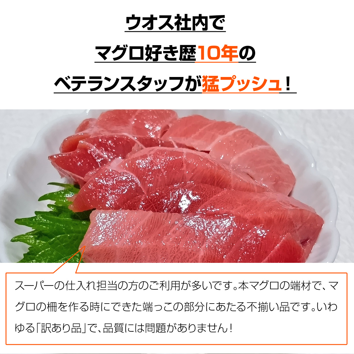 本マグロ