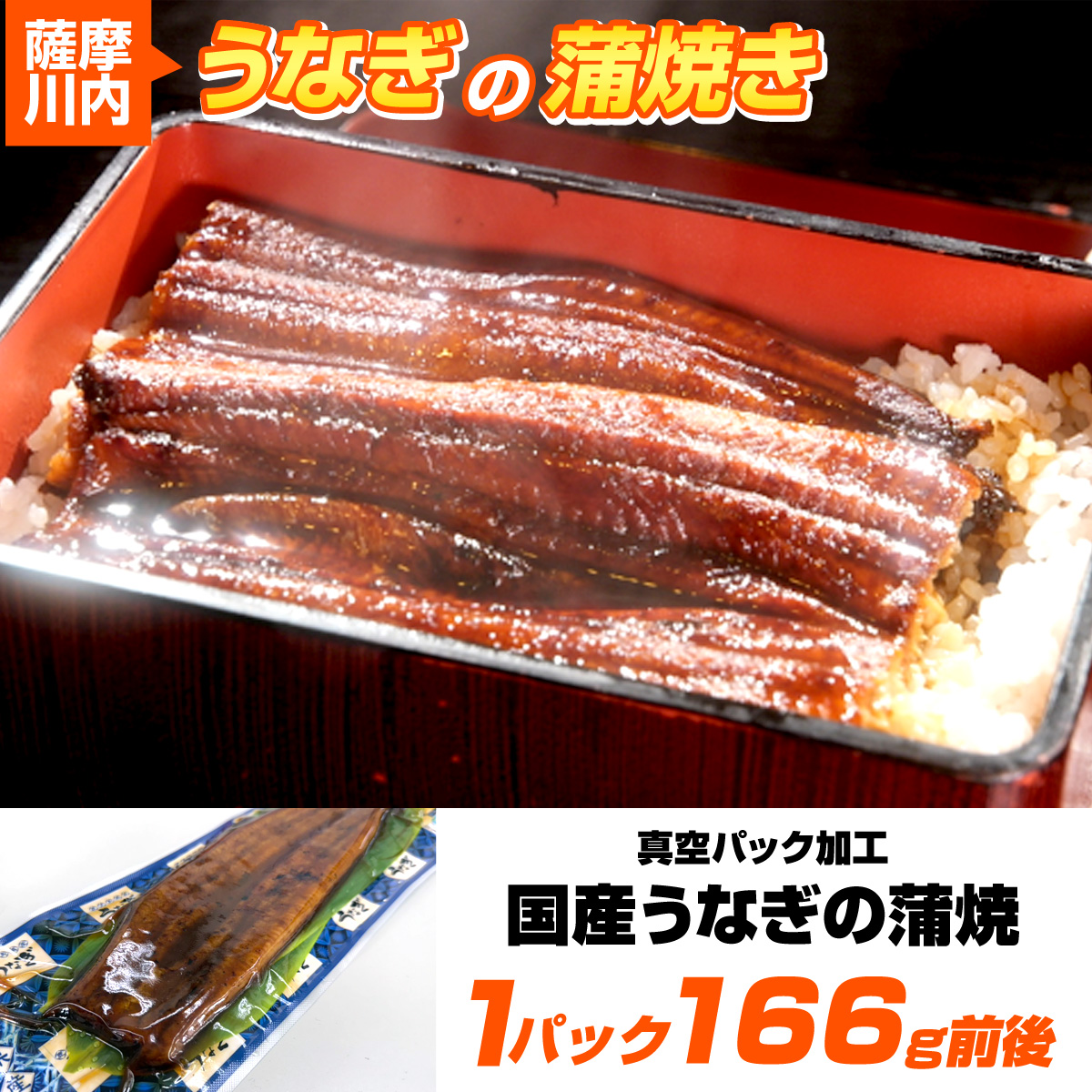 うなぎ蒲焼き