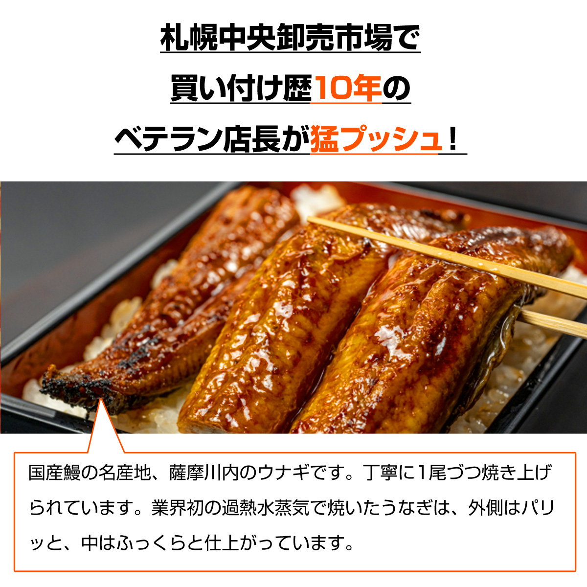 うなぎ蒲焼き
