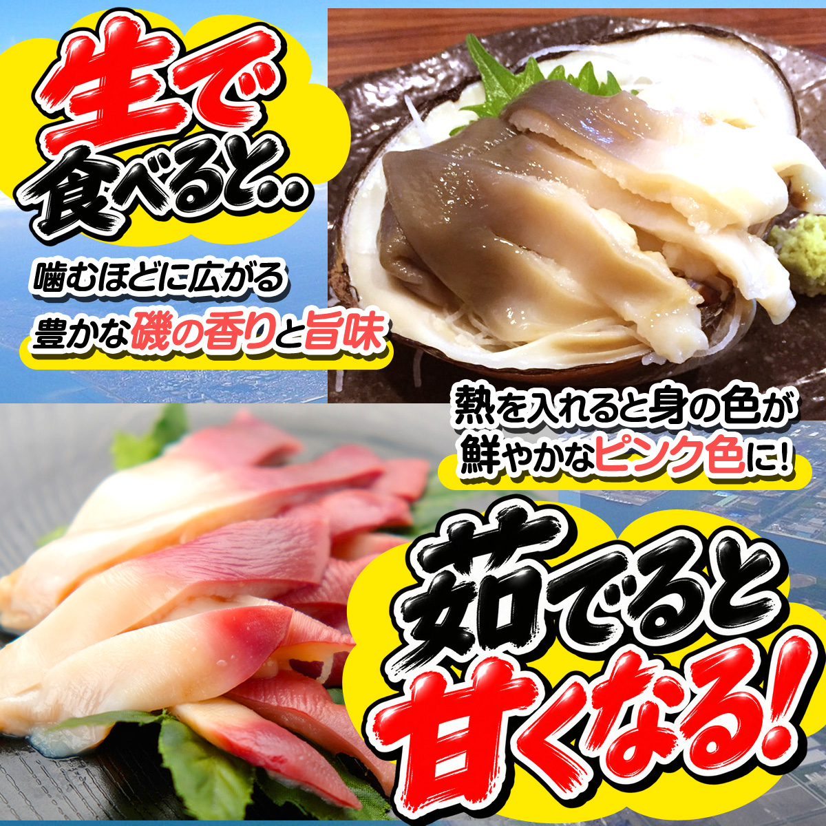ホッキ貝