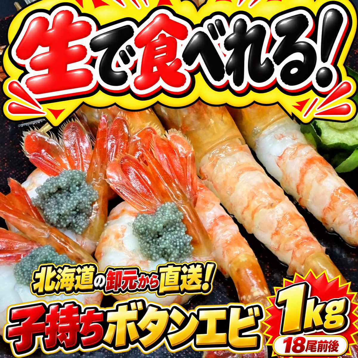 ボタンエビ